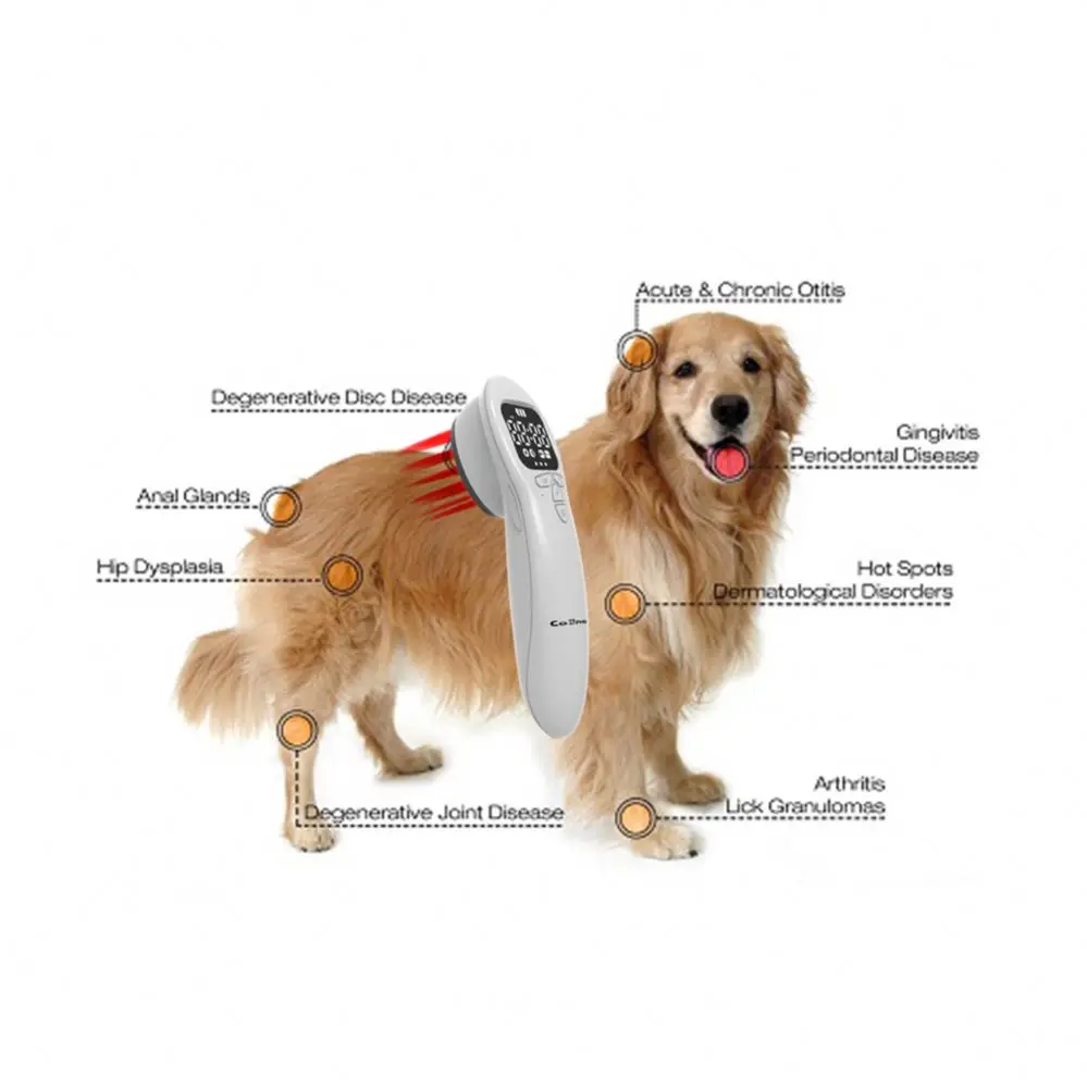 Dog cat Vet Horse laser terapia vet for arthritic aches and pains, joint pain, muscle pain