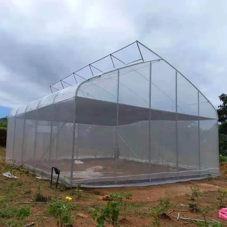 Galvanized Steel Structure Tunnel Tomato 150 200 Micron Plastic Pe Film Greenhouse For Vegetables Girowing