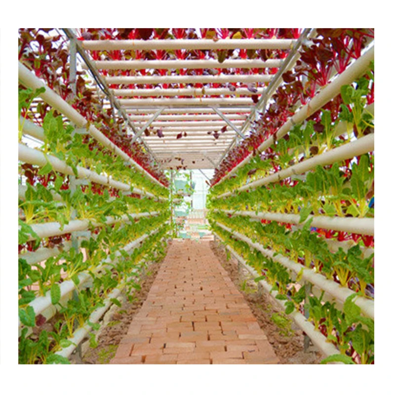 Agriculture NFT lettuce hydroponic growing systems Aeroponics  vertical for greenhouse farm