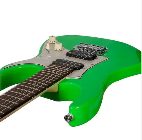 Professional electric acoustic guitar