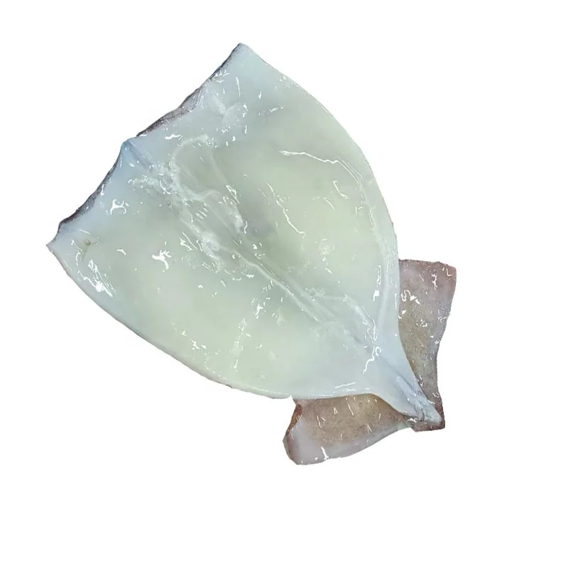 Japanese seafood products frozen squid fillet for restaurant Todarodes squid
