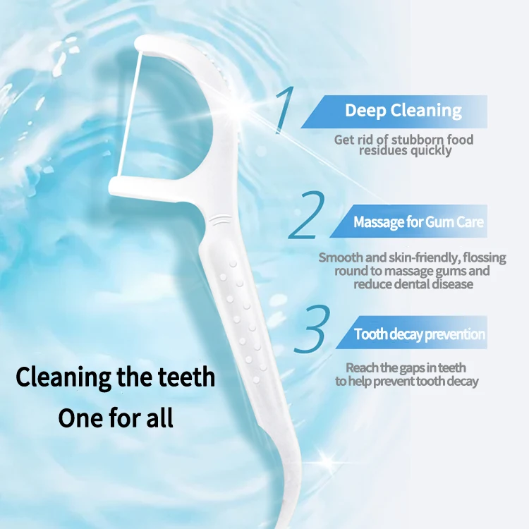 Factory price wholesale good quality teeth cleaning Dental Flosser 100pcs pack in bag home use Dental Floss Pick
