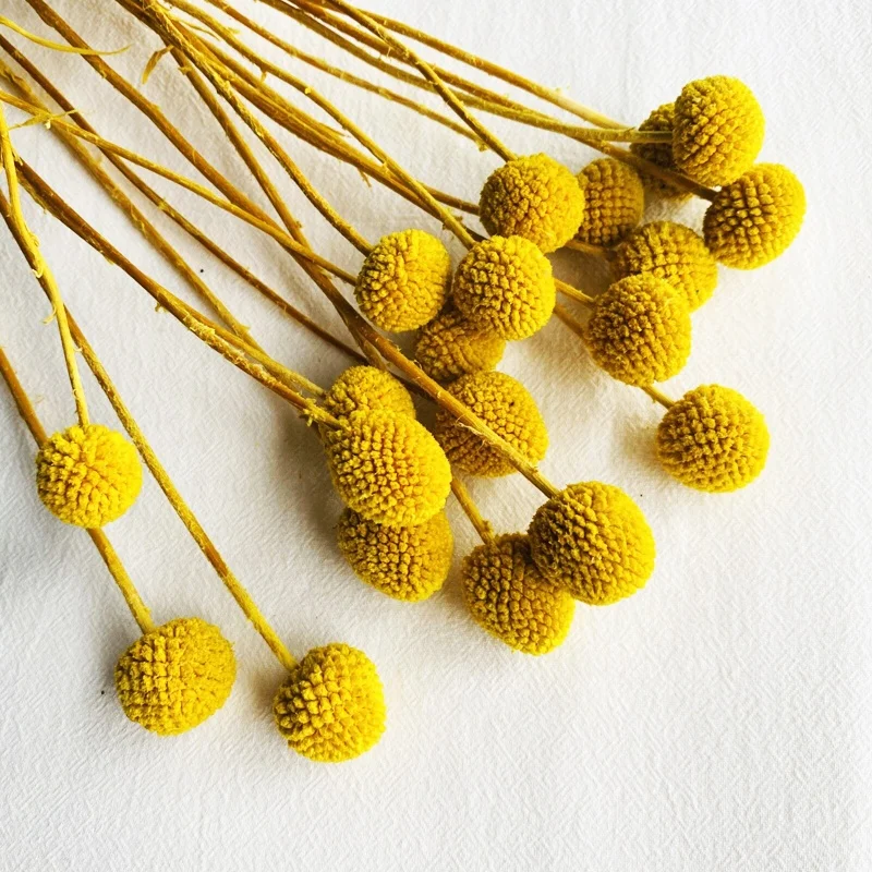 Ins Hot Sale Preserved Craspedia Christmas Decoration DIY Bouquet Immortalized Billy Ball