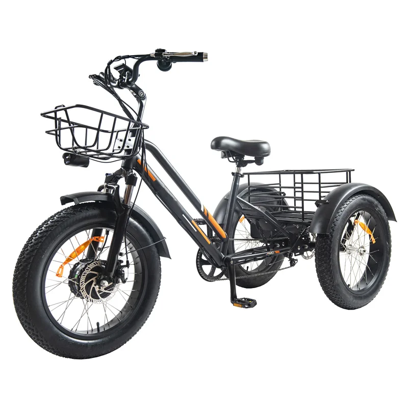 US warehouse stock electric tricycle Cargo electric trike for adult  750w big power  electric tricycle bike