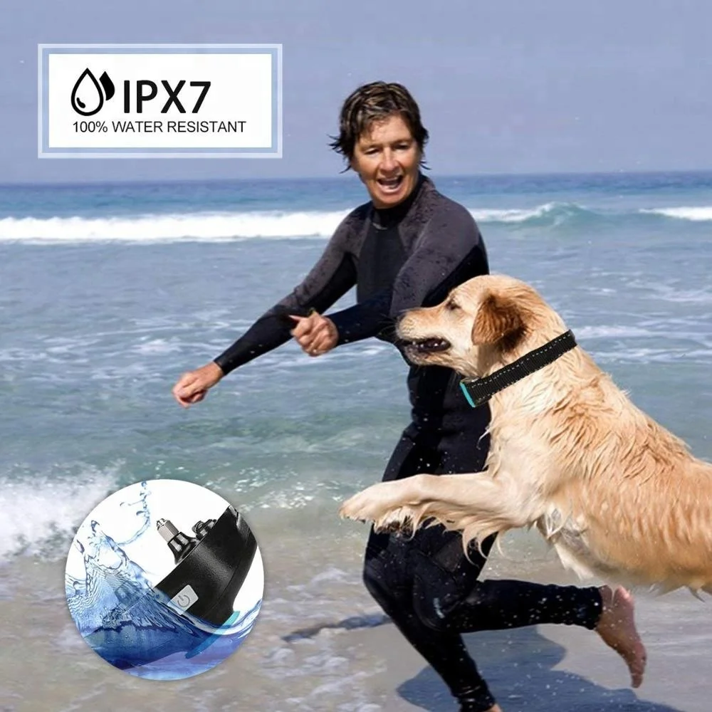 Hotspot Pets Best Dog Training Collar Large Dogs Toy Wholesale Custom Made Long Range Waterproof Agility Training Products