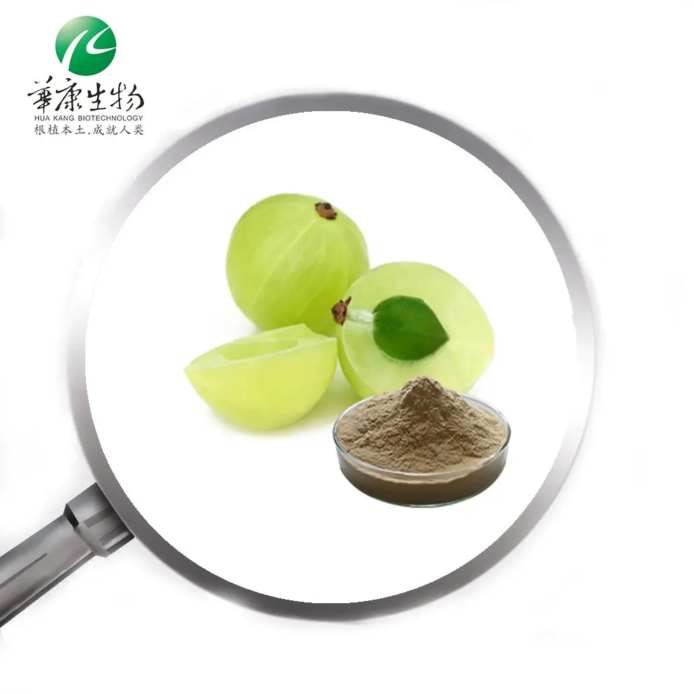 Organic Amla Powder Emblica Officinalis Extract Phyllanthus Emblica Extract
