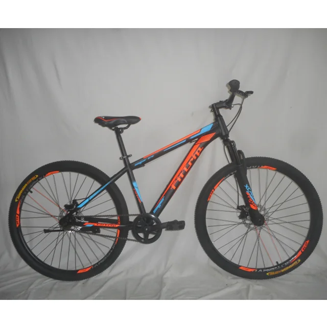 Single Speed 29 Inch Steel Mountain Bicycle Bicicletas Disc Brake  Bisklet