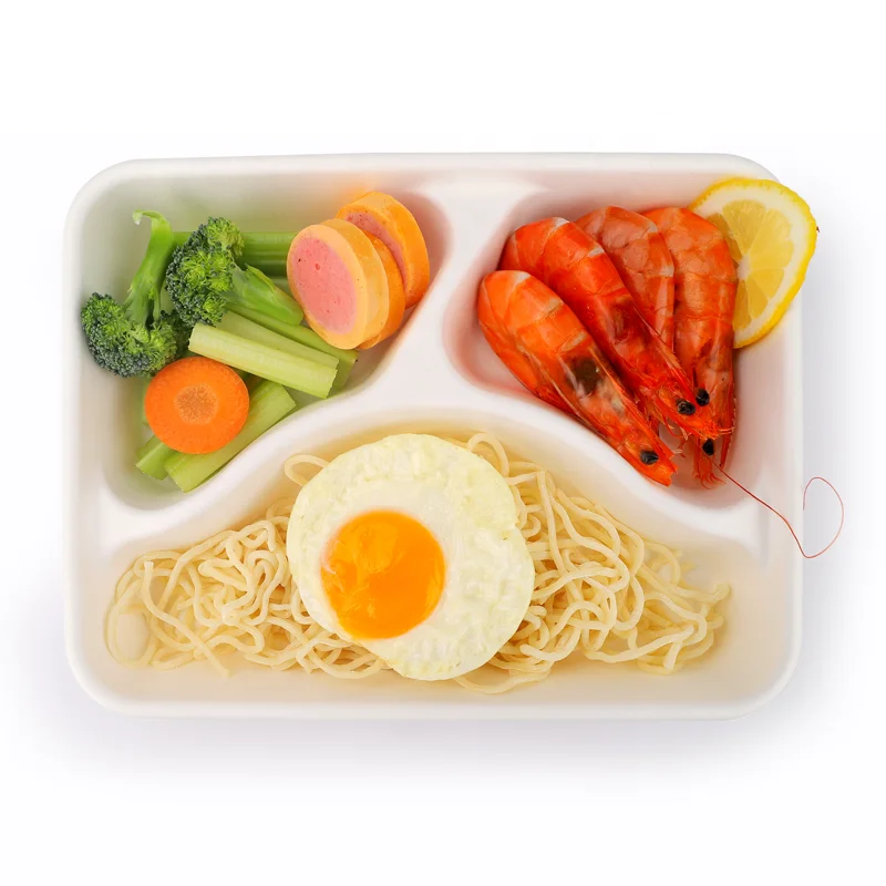 sugarcane bagasse disposable food container bagasse pulp rectangle plate straw pulp biodegradable tray