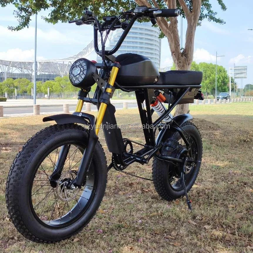 Brand New China Oem Ebike Double Battery 40km/h Speed 20inch 250w350w500w1000w 7speed Fold Dual Motor Electric Mountain Bike