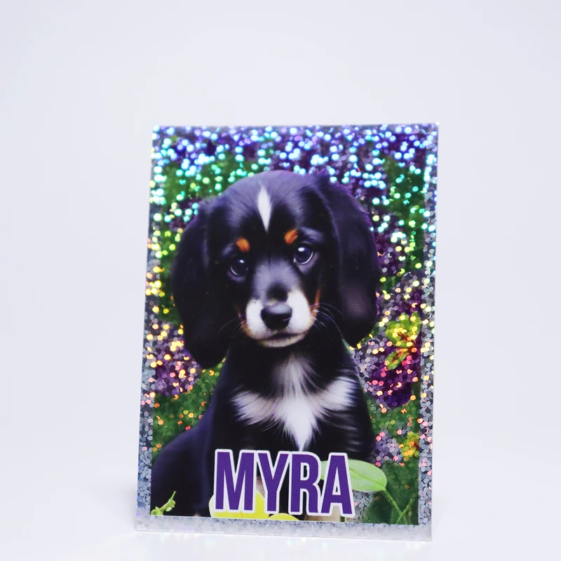 Custom booster packs trading cards foil  holographic rainbow card with Aluminum film bag