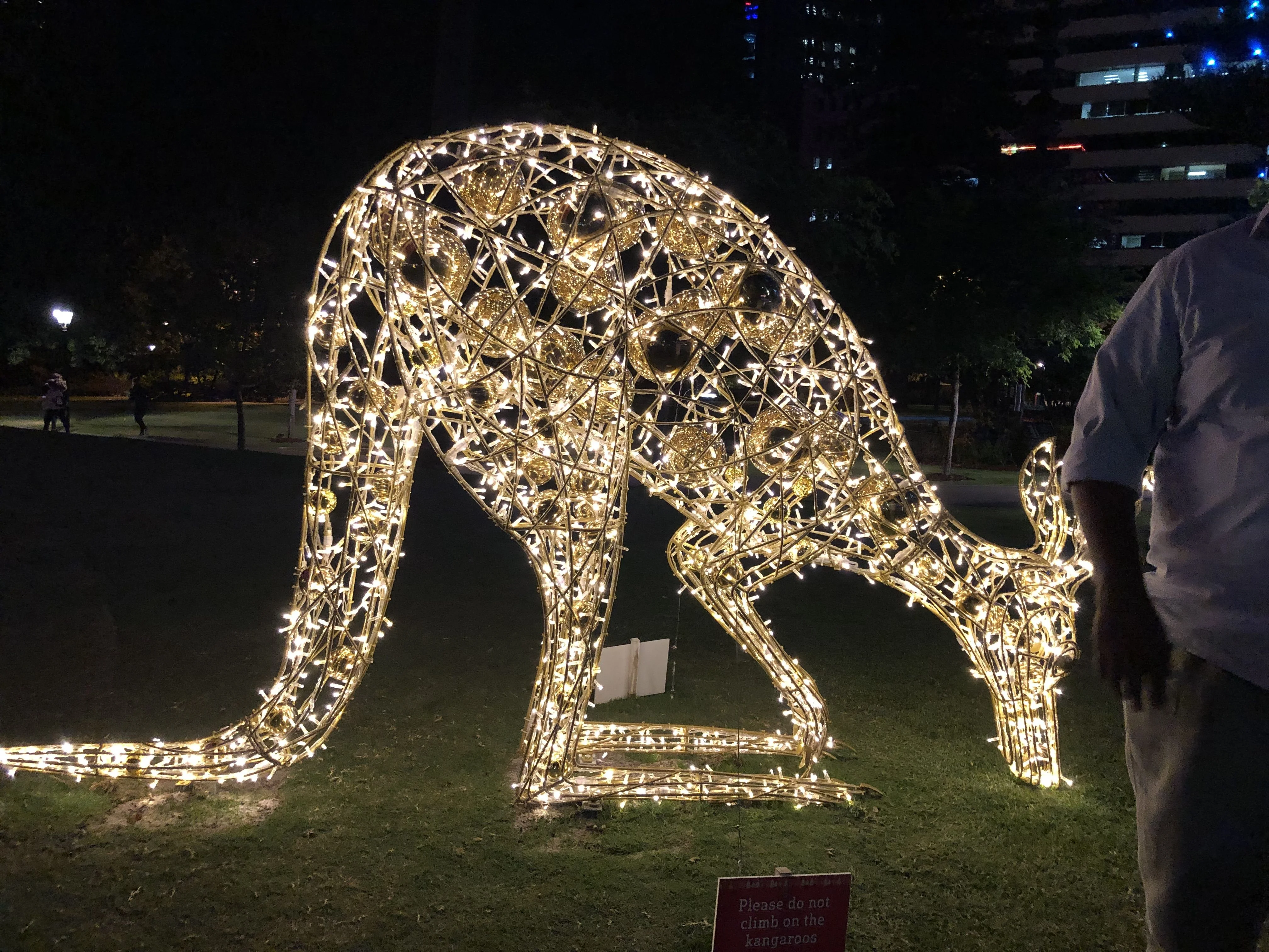 led lighted kangaroo decoration