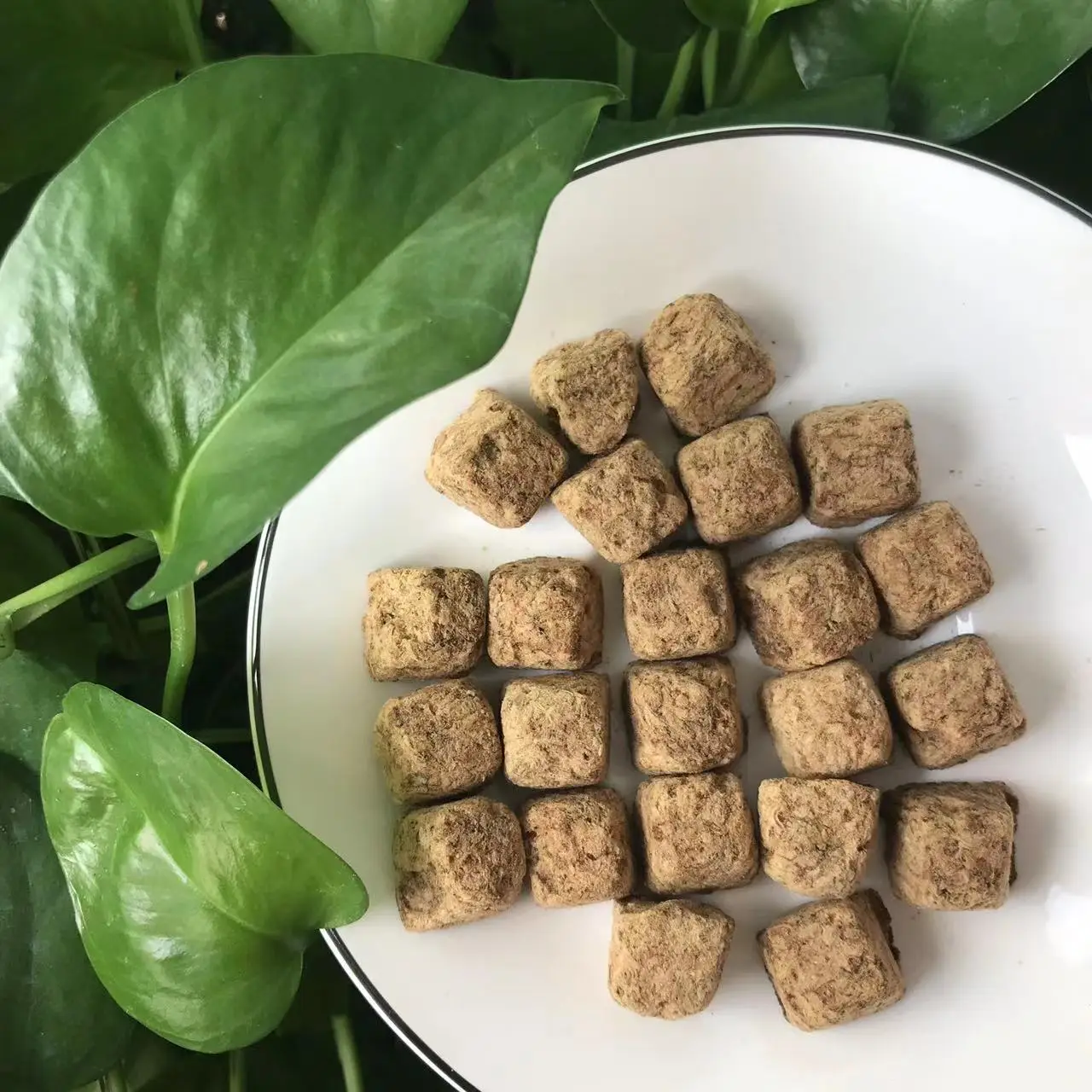 Aquarium Fish Food Freeze Artemia Dried Brine Shrimp Cube Fish Feed