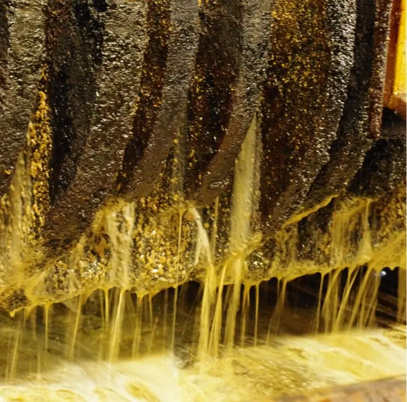 PURE SESAME SEED OIL, toasted type,sesame oil bottles cold oil press sesam seeds sesame oil production plant