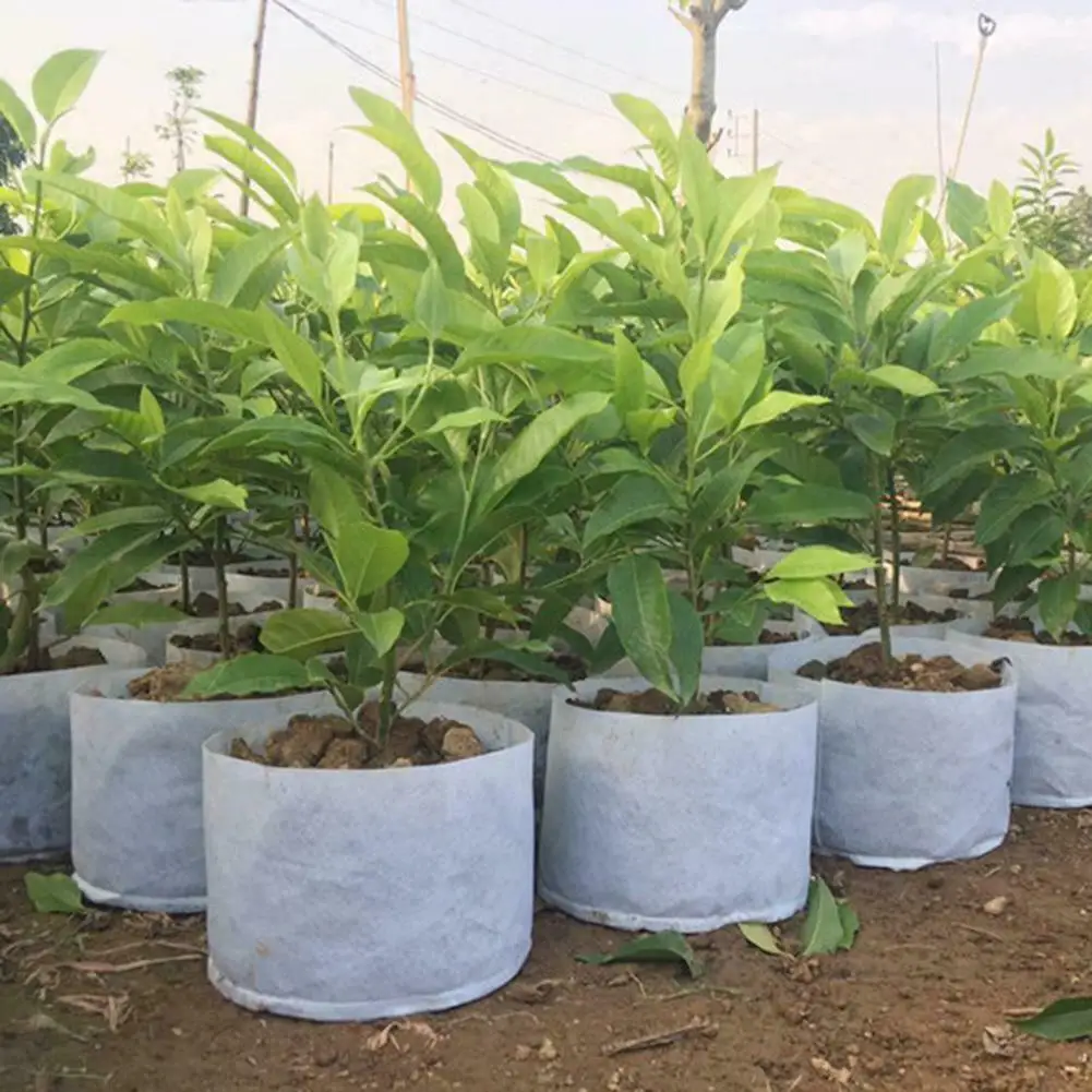 The manufacturer provides planting plastic bags for garden planting tree bags