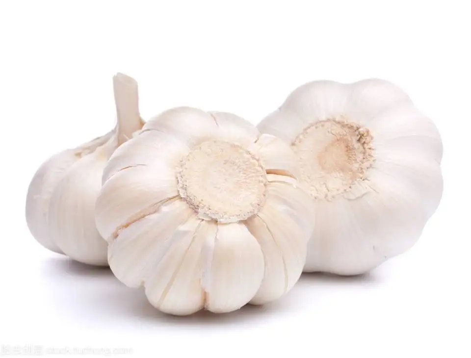 High Quality Dried Garlic Ready To Ship From Vietnam Dried Garlic For Cooking Best Price For Wholesale