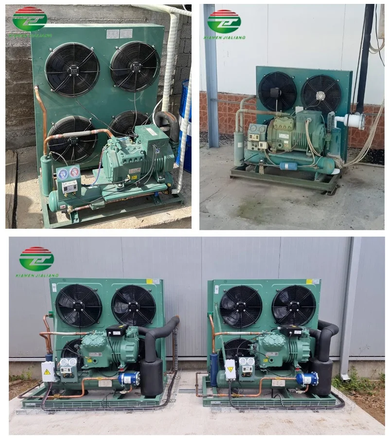 Xiamen Jialiang Walk in  Freezer Cold Room Storage Fish Cold Room 20 Tons Cold Room