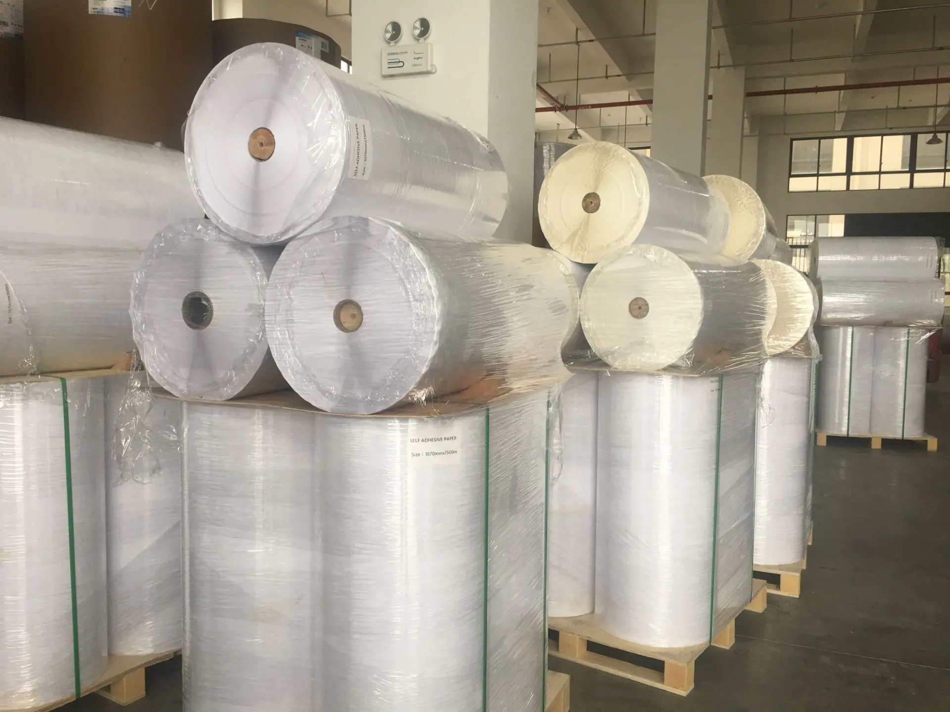 label jumbo roll  (15).jpg