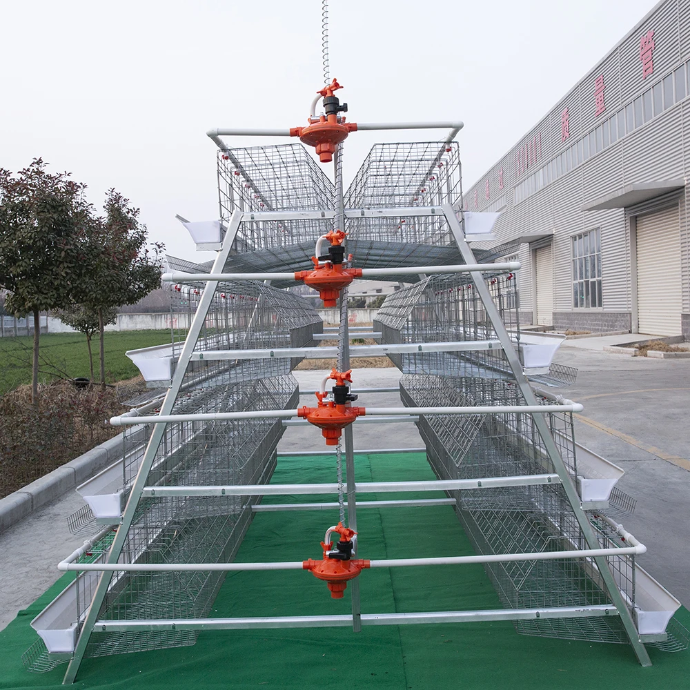 Commercial Chicken Cage Price for Poultry Farm Equipment Egg Laying Chicken Cage for Sale