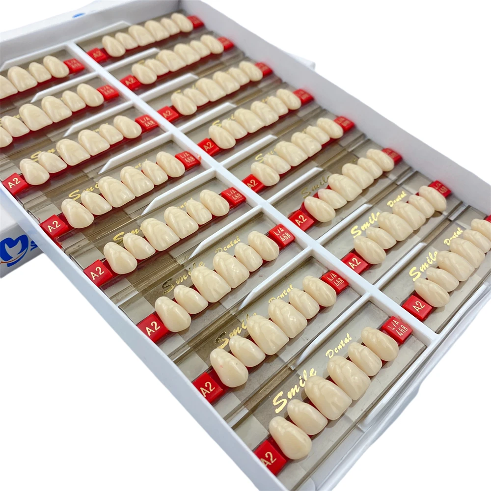 2-lay Synthetic Denture Teeth False Teeth Anterior Dental Acrylic Resin Teeth