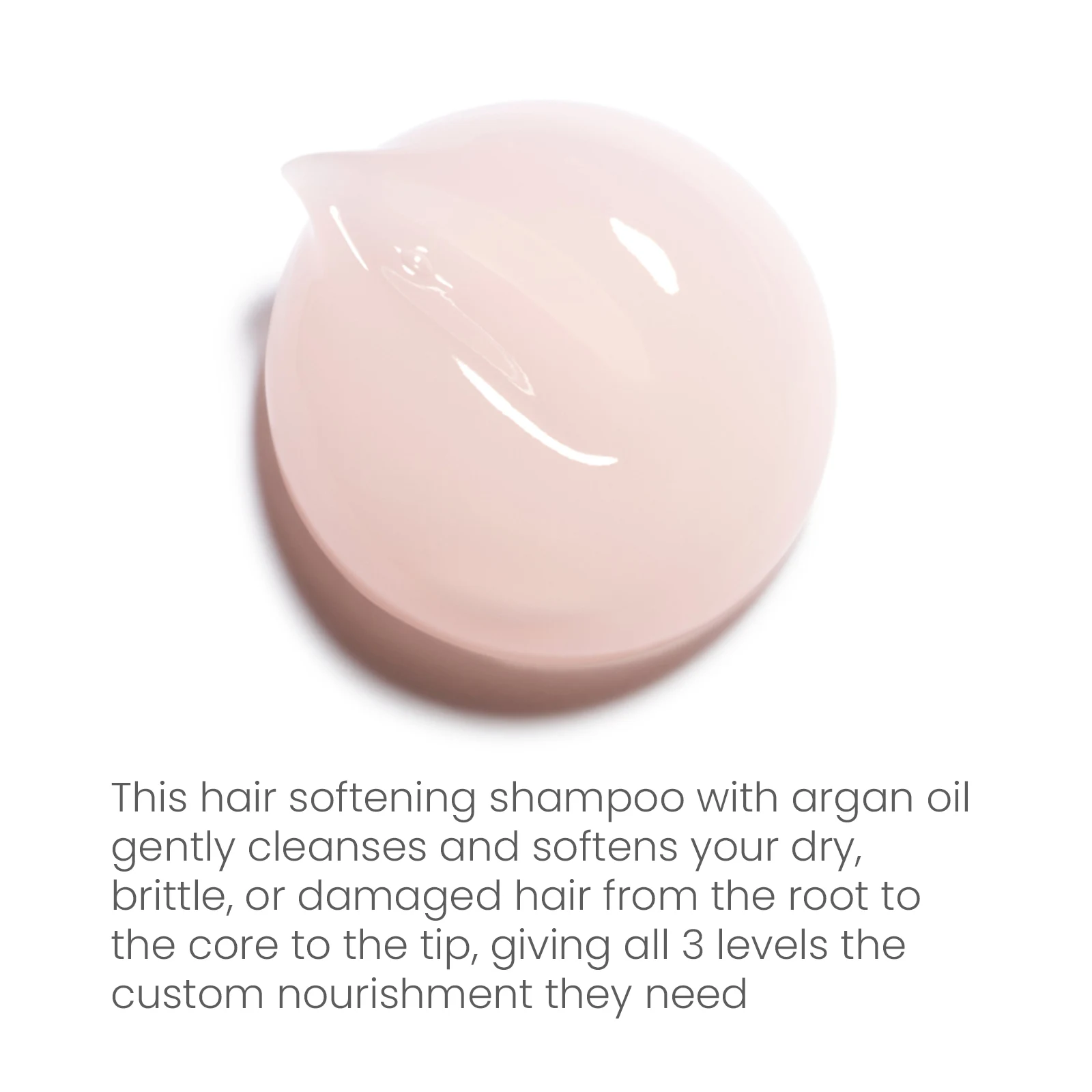 Guangzhou Factory Private Label Eco Friendly Shampoo Product Scalp Detox Oily Hair Dandruff Shampoo From China