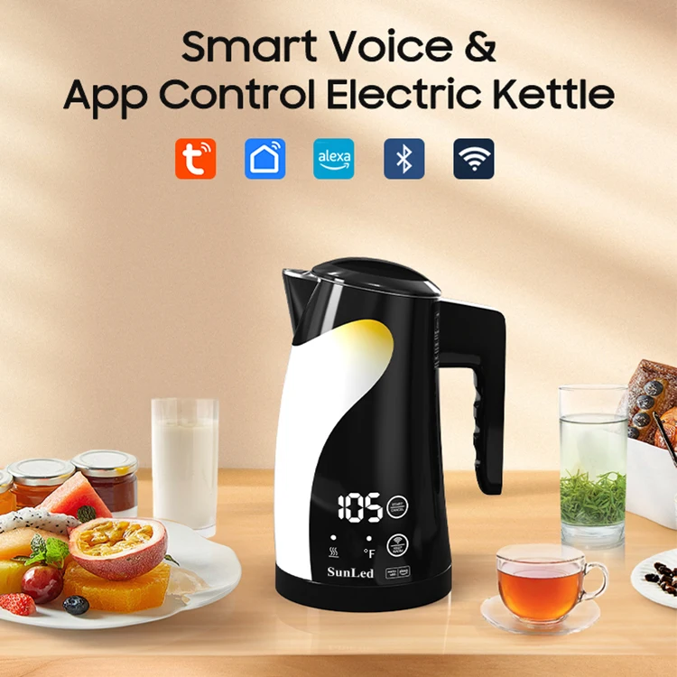 2024 Temperature Display Insulated Smart Portable Electric Kettle For Boiling Water