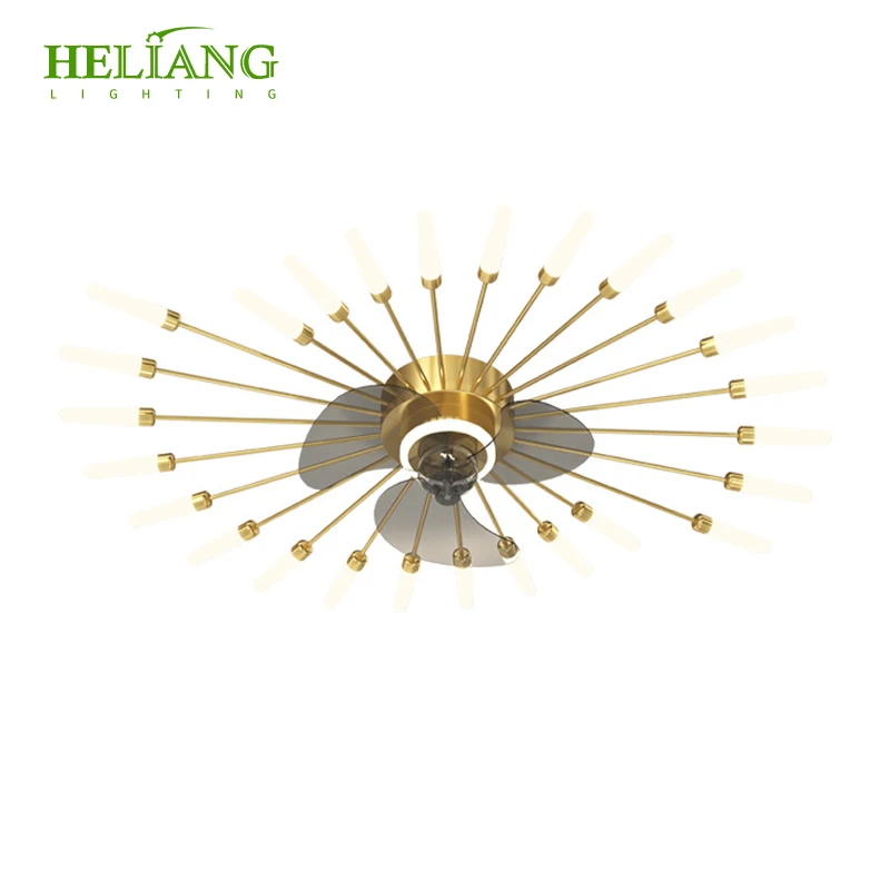 High end modern home bedroom LED fan lamp frequency conversion remote control ceiling fan lamp