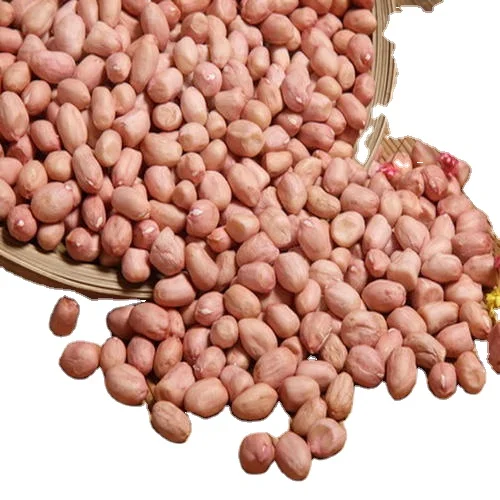 Chinese High Grade Raw Peanut Kernels Long and Round Shape