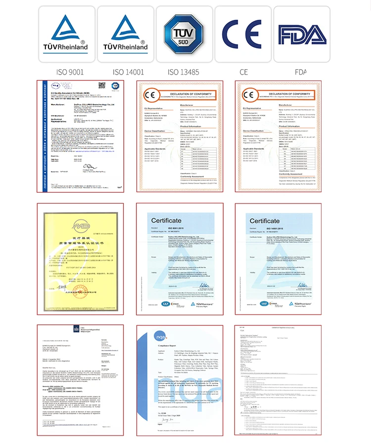 certificate 1