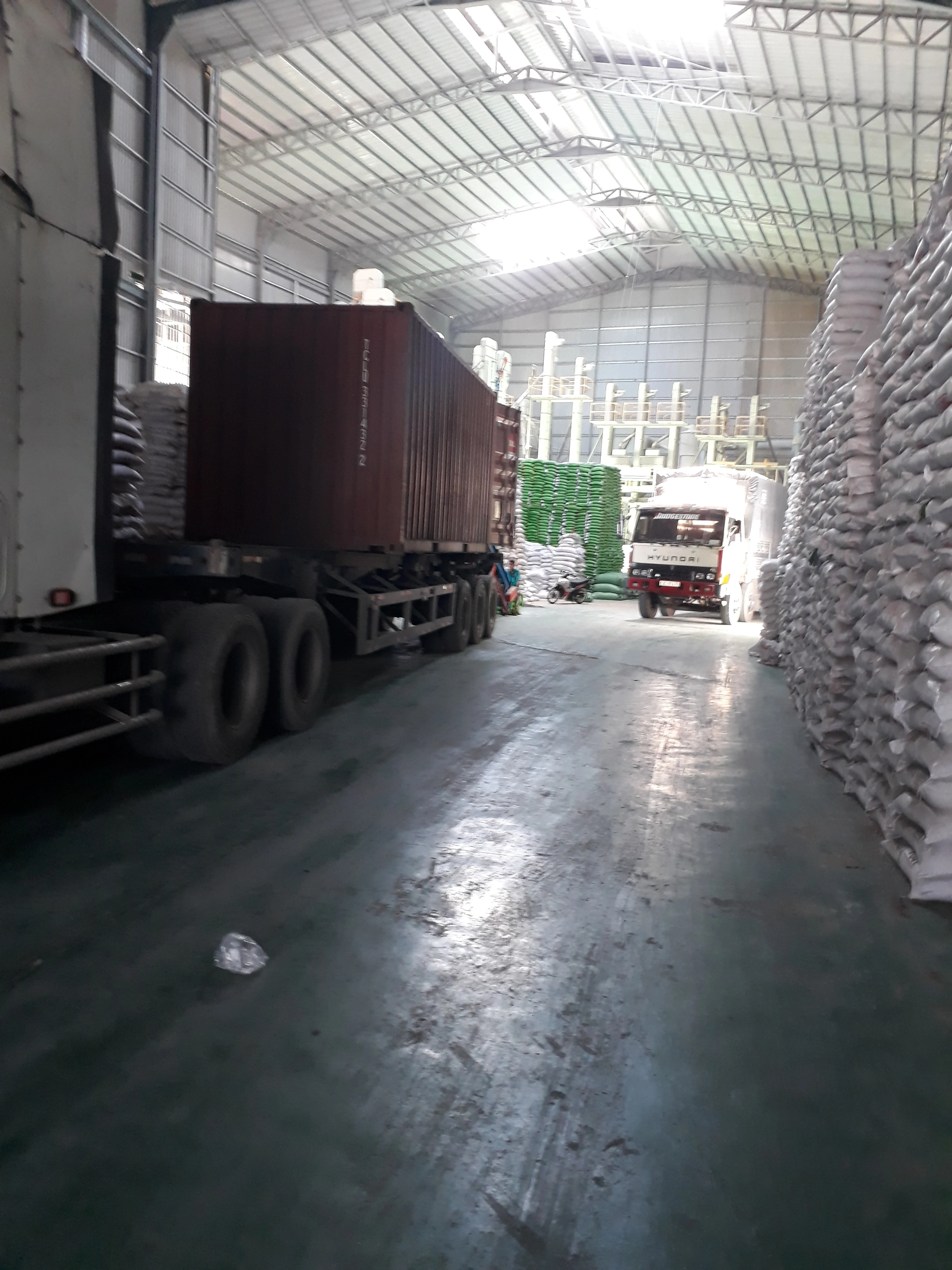 Органический ароматный рис 5% сломанный сорт ST21 вьетнамское происхождение высокое качество разумная