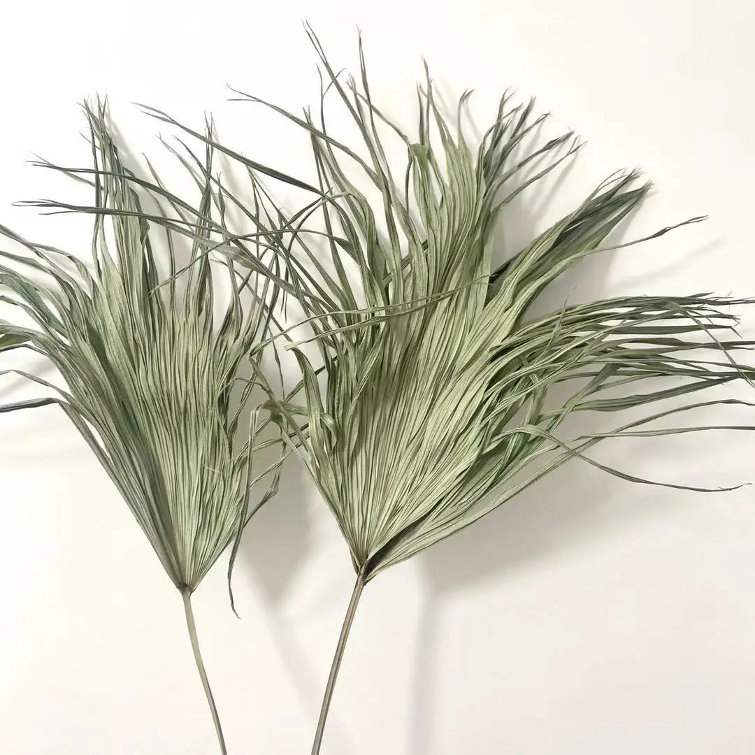 Palm Leaf Decorative Flowers  Natural Dried Palm Leaves for Wedding Home Decor