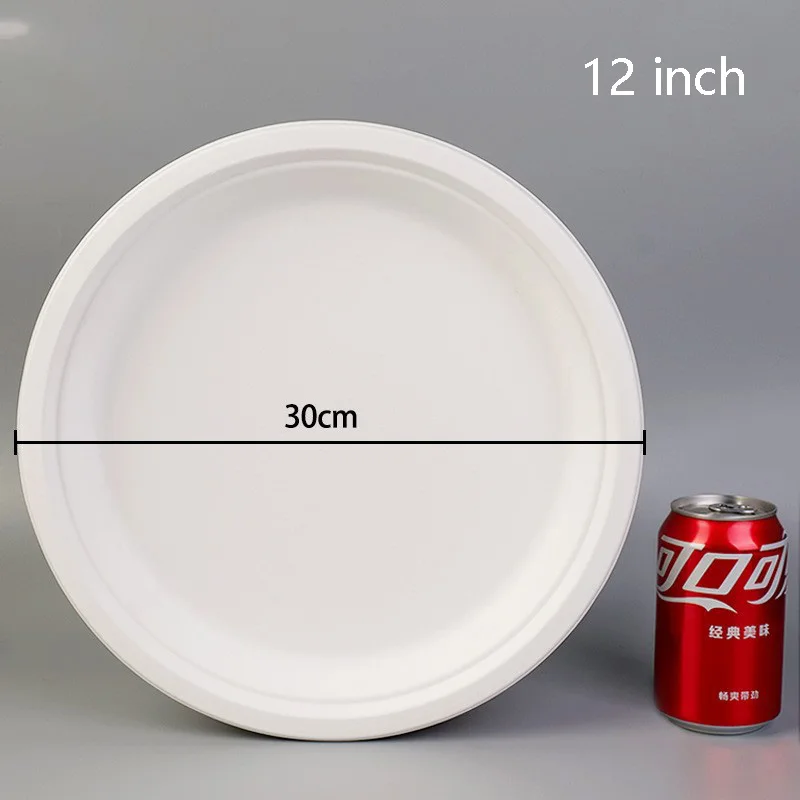 Disposable paper plate kindergarten handmade DIY painting cake barbecue tray biodegradable large paper plate 12 inches