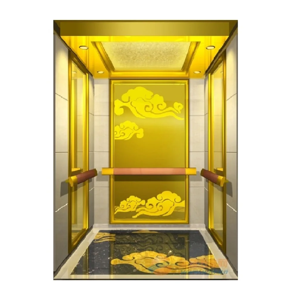 China Residential and Commercial Indoor/Outdoor Elevator Price