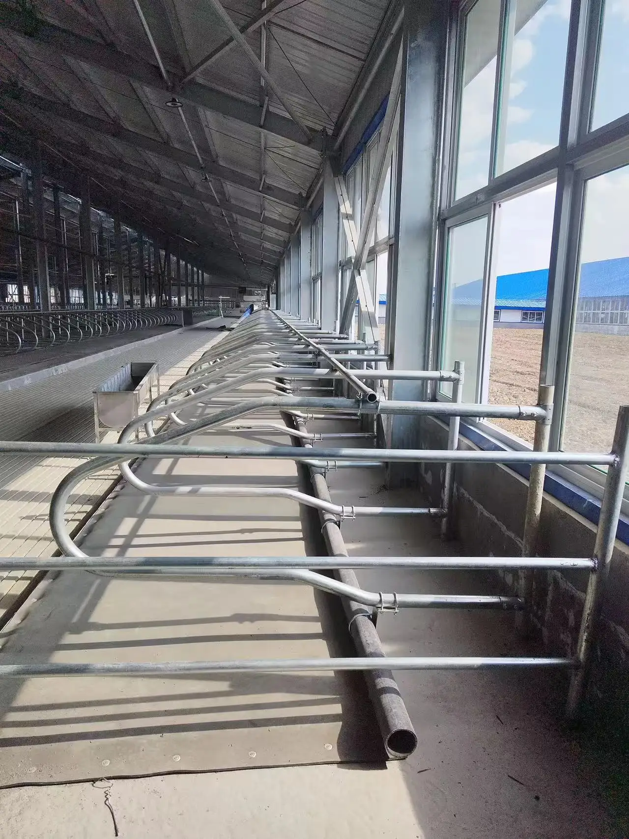 Dairy Cattle Stall Bed and Feeding Fence Cow and Calf Farm Gear Bearing Components for Poultry Field for Retail Industries