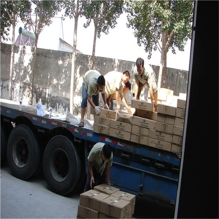 25 Medical Teaching Resources Equine Skin Microscopy Prepared Slides Histology Slides