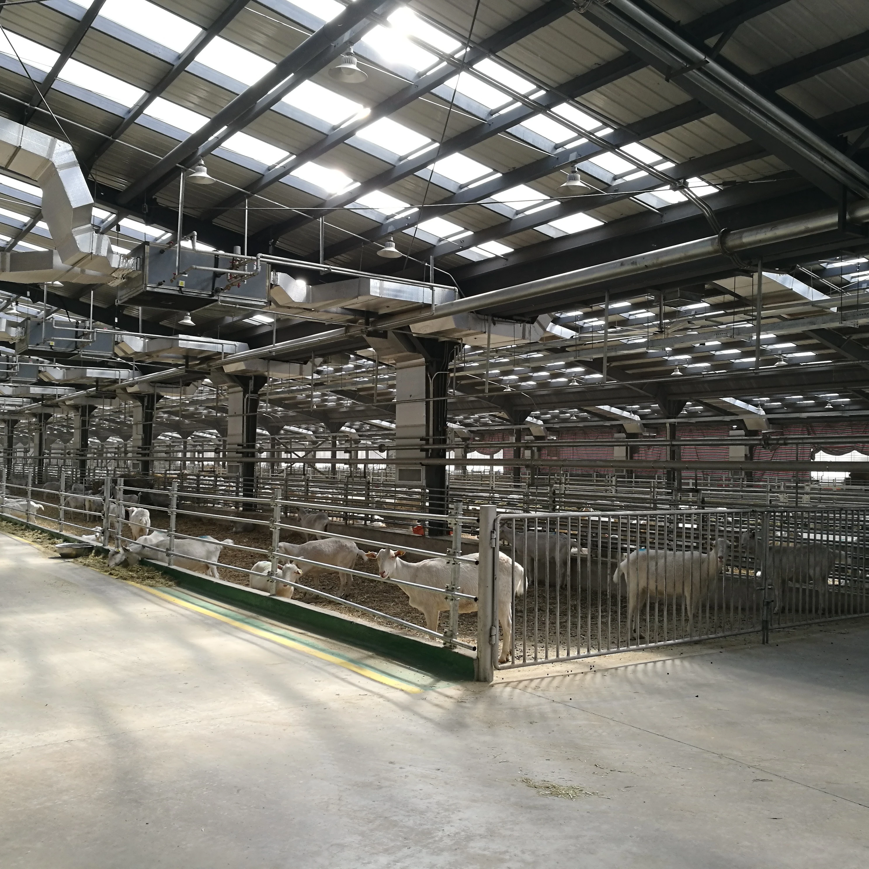 Factory design steel structure prefabricated steel building farm house for cow horse pig breeding