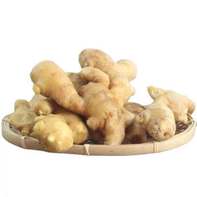2024 Ginger  Chinese factory direct sale1 kg Fresh cheap Price Ginger Exporter from China