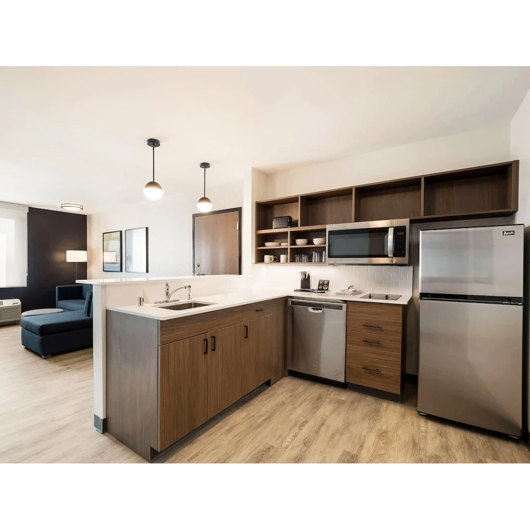 America Hotel custom plywood modern kitchen cabinets with kitchen cabinets accessories