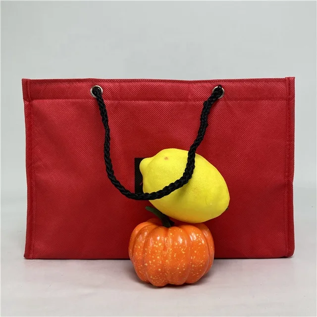 Mini Cooler Bag Thermal  Insulated Lunch Thermal Cooler Bags Custom Logo Insulated Lunch Insulated tote Bag Cooler