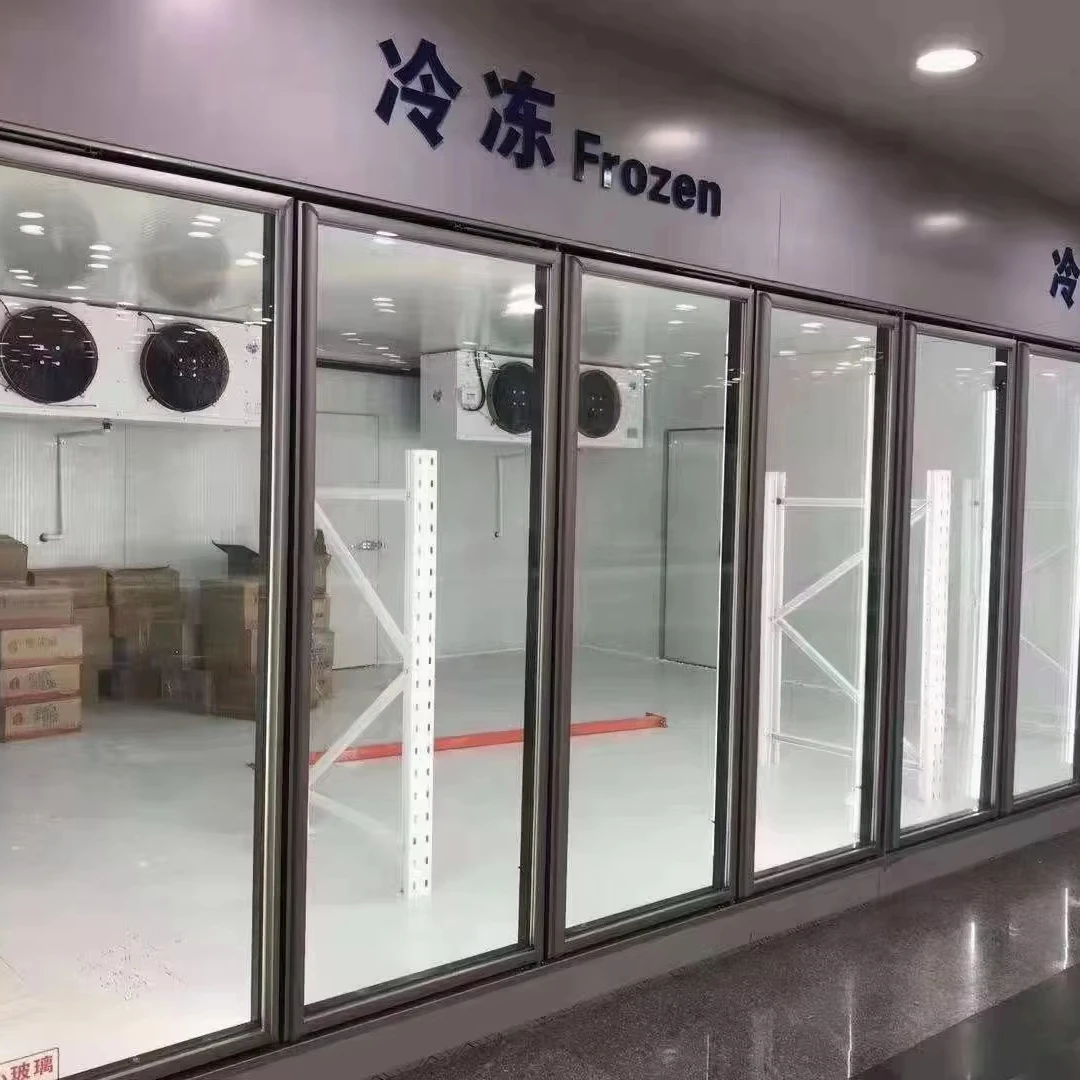 Cold Storage Engineer Free Consultation Service Freezer Cooler Glass Door Beer Walk in Cooler Freezer in Supermarket