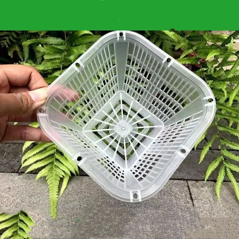 Phalaenopsis Square Planting Basket Garden Pots Clear Plant Net Mesh Pots Orchid Planter Pots Plant Container Transparent clear
