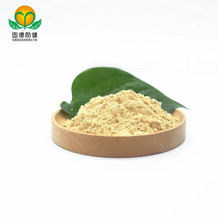 Organic Mushroom  Hericium Erinaceus Extract Powder