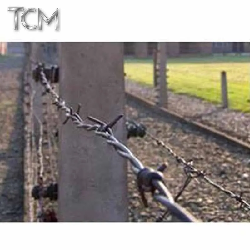 Hot selling 500 meters coil galvanized wire mesh stainless steel wire mesh