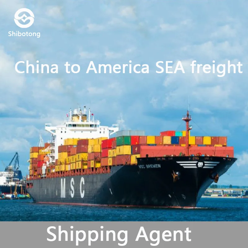 America Freight forwarder from China DDP service to USA amazon fba air/sea shipping