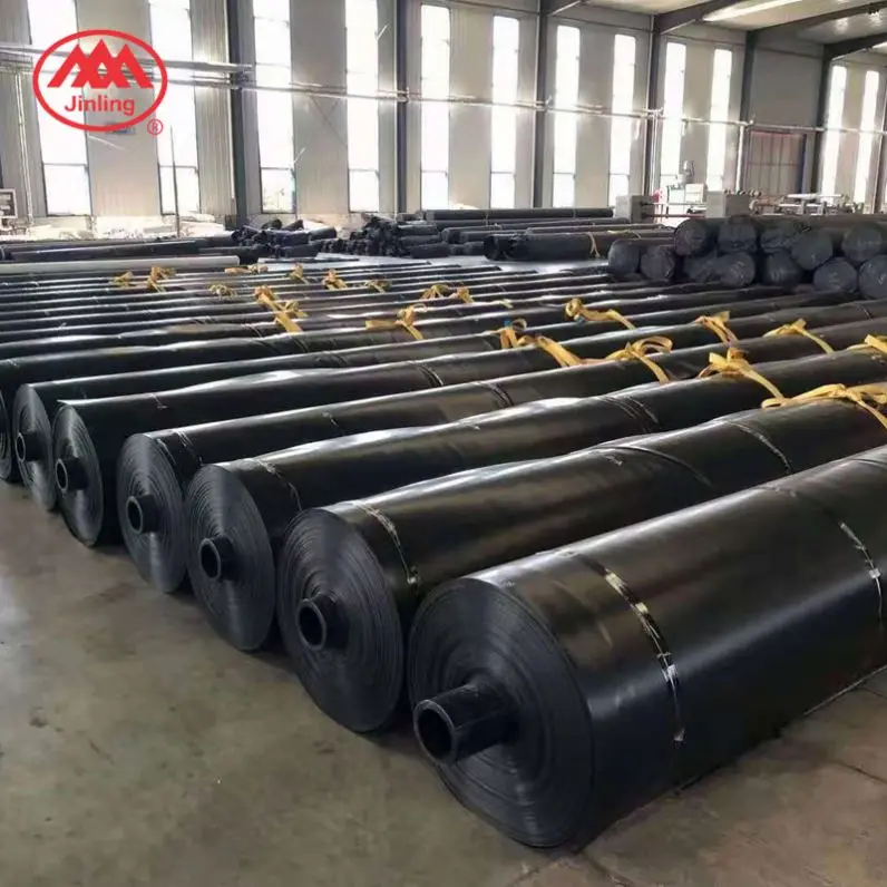 Astm Gri Gm13 1.0Mm 1.5Mm 2.0Mm Preformed Fountain Liners Hdpe Smooth Geomembrane Sheet For Water Reservoir In Thailand
