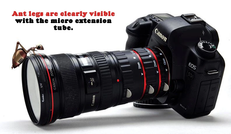 AF Focus Macro Extension Tube Lens Support EF & EF8 13mm 21mm 31mm For Canon Camera