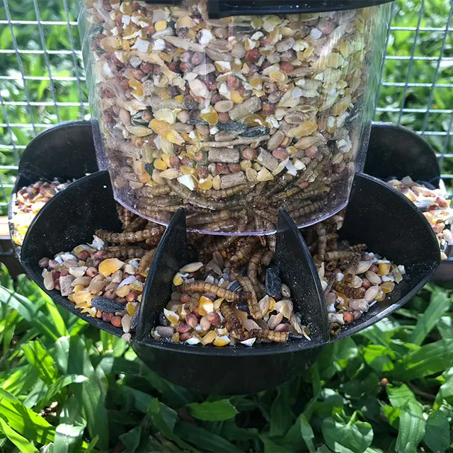 Automatic chicken feeder  and most popular for poultry chicken feeder