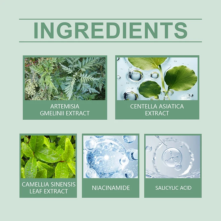 Private Label Natural Skin Care Deep Cleansing Treatment Acne Brightening Facial Mask Salicylic acid Anti Acne Clay Mud Mask