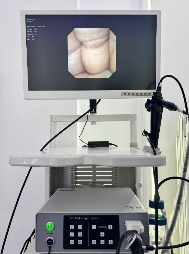 Gastroscope And Colonoscope Medical Gastrointestinal Endoscopy System Endoscope Gastroscope Veterinary Endoscope