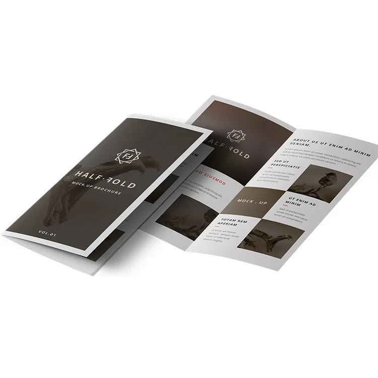 Custom unique logo printing design brochure printing, leaflet, folded flyers printing service for advertising promotion