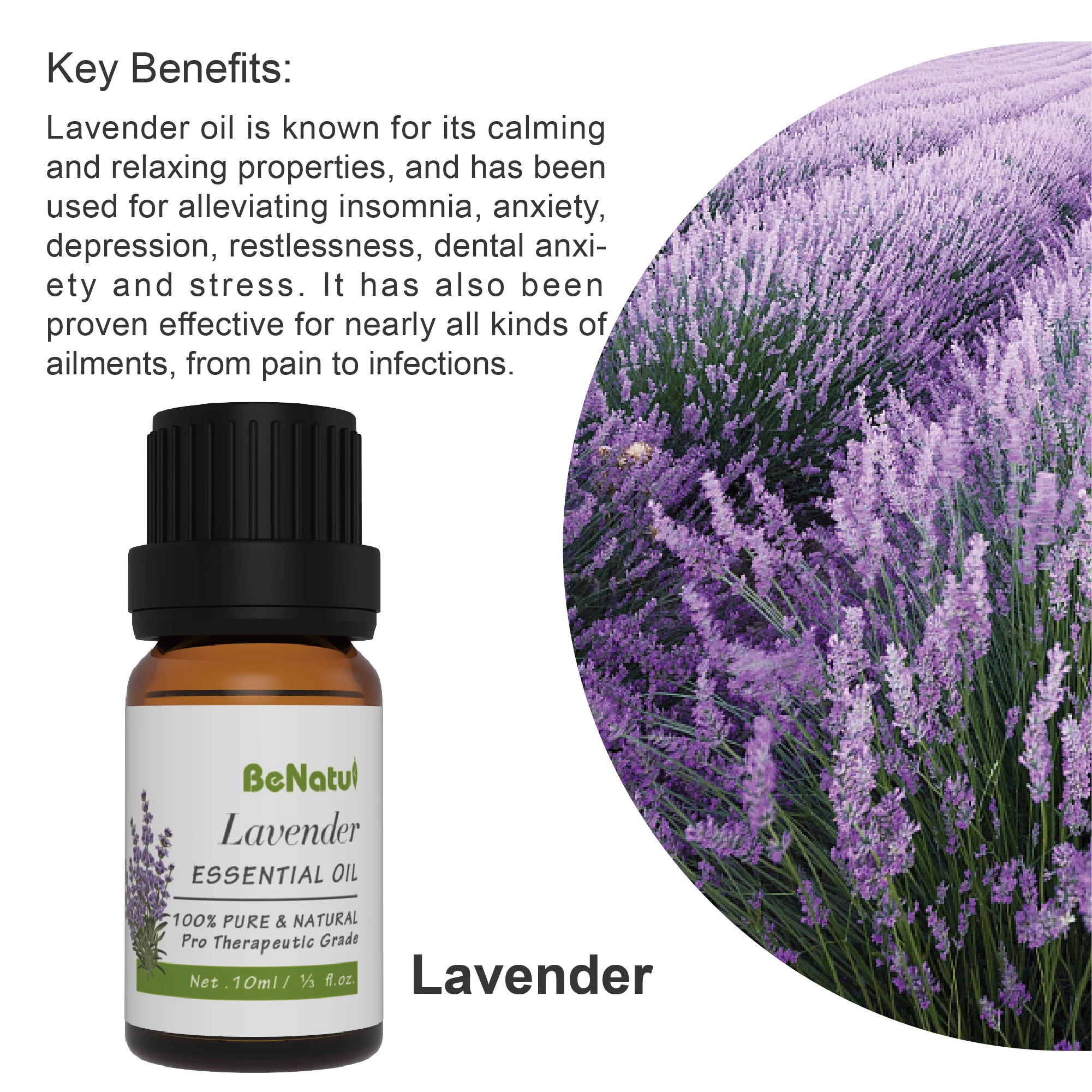 Benatu Trio of Essential Oils (Lavneder/Tea Tree/Eucalyptus) 3*10ML LOW MOQ BEST CHOICE FOR TESTING MARKETS